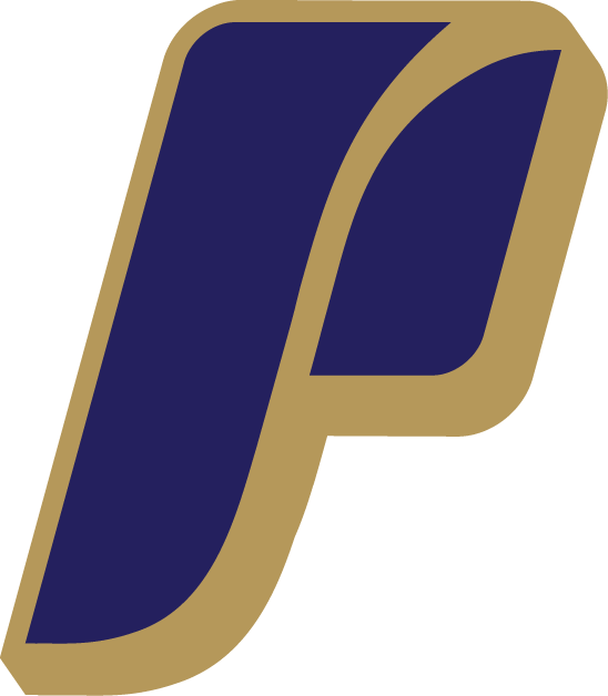 Portland Pilots 2006-Pres Alternate Logo diy fabric transfer